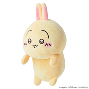 Posture Pal - CHiiKAWA R8