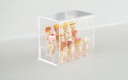 Acrylic Display Case A0