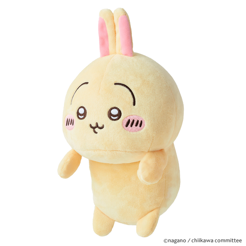 Posture Pal - CHiiKAWA R8