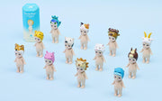 Animal 4 Series H7