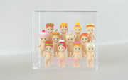 Acrylic Display Case A0
