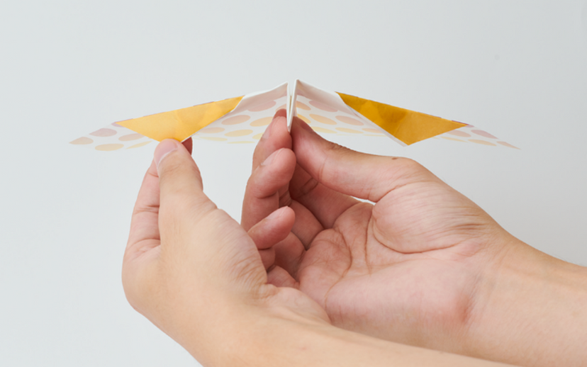 Papillon Origami Airplanes Q8