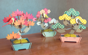 Play Plants Bonsai Puzzles H0