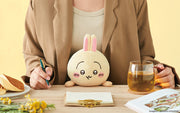 Posture Pal - CHiiKAWA R8