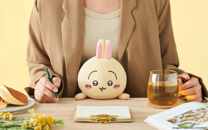 Posture Pal - CHiiKAWA R8