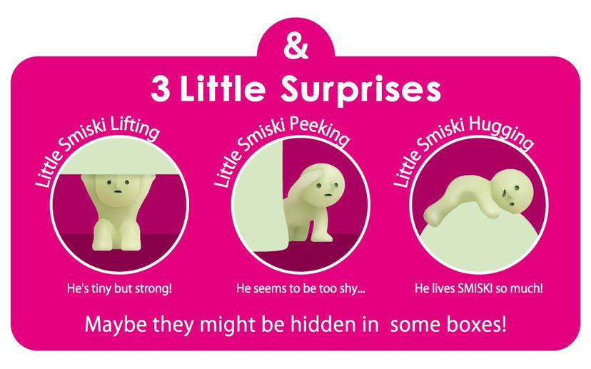 SMISKI Mini Figure Series 1 R5