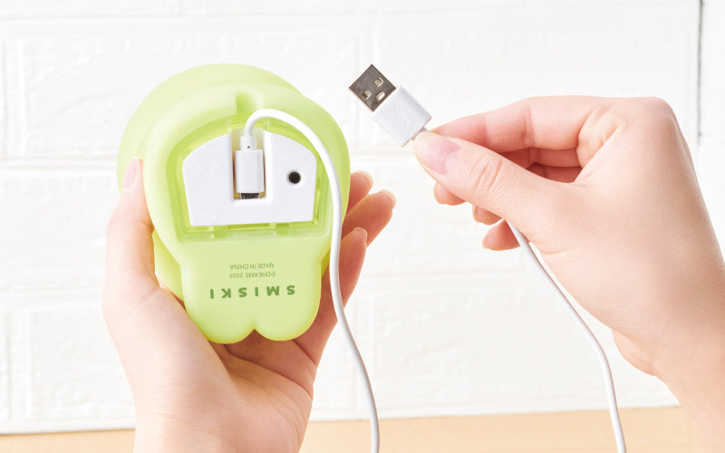 SMISKI Touch Light I4