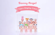 Acrylic Display Case A0