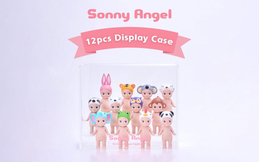 Acrylic Display Case A0