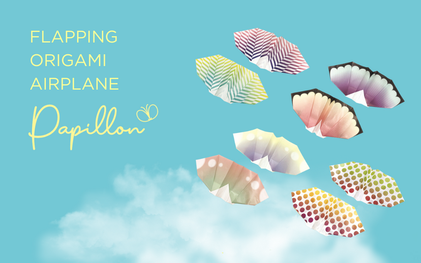 Papillon Origami Airplanes Q8
