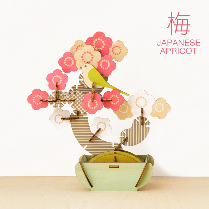 Play Plants Bonsai Puzzles H0
