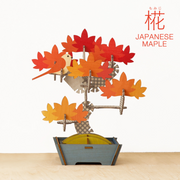 Play Plants Bonsai Puzzles H0